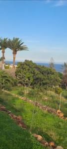 Fotografie z fotogalerie ubytování Independent two beedrooms house with sea views v destinaci Santa Cruz de Tenerife