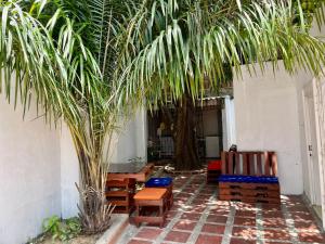 um pátio com cadeiras e uma palmeira em La Casa de Tía Ana em Ríohacha