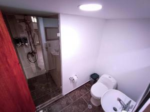 W łazience znajduje się prysznic, toaleta i umywalka. w obiekcie Amplio duplex con terraza privada. w mieście Medellín