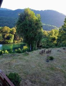 dois bancos sentados ao lado de uma árvore ao lado de um lago em Casa en Liquiñe em Liquiñe
