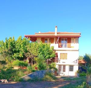 哈爾基斯的住宿－Kounis Villa，前面有树木的白色大建筑