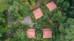 una vista aérea de un jardín con árboles y plantas en Colores del Caribe en Puerto Viejo