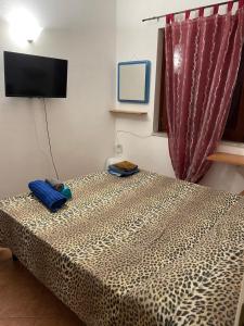 a bed in a room with a television and a bed at Airport at 25 min by walk - 5 min by walk to commercial center 2 min by walk to touristic port for trip to islands 5 min by walk to bus for city and beaches -Balcony sunset and Sea view-wi fi-air cond-5 persons-pool from 15 june to 15 september PISCINA in Olbia