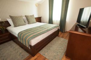 Habitación de hotel con cama y TV en Pensiunea Muntele Verde en Slănic