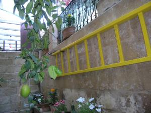 Fotografie z fotogalerie ubytování B&B Malennio v destinaci Lecce