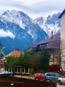 a view of a mountain with cars parked in front at Cosy Apart Busteni in Buşteni +5 photos