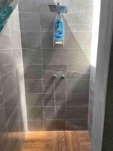 uma cabina de duche com uma garrafa de limpeza na parede em Renta de casa de descanso / Jardín / Albercada em Tlayecac