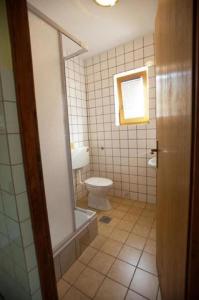 ein Bad mit einem WC, einer Dusche und einem Fenster in der Unterkunft Apartments Luka - free parking in Novi Vinodolski