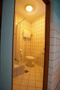 ein Bad mit einem WC, einer Dusche und einem Waschbecken in der Unterkunft Apartments Luka - free parking in Novi Vinodolski