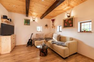 uma sala de estar com um sofá e uma televisão em Vineyard Cottage Grajska Kašča - Happy Rentals em Mirna