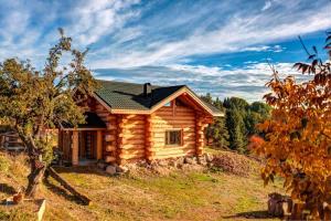 una baita di tronchi su una collina con un albero di ECO HOUSES ART OF LIVING - Еко къщи изкуството да живееш a Pamporovo