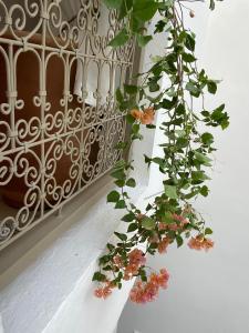 a window with a bunch of flowers on it at Private house Riad Arlette exclusive in Marrakesh