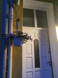 a door with a flower pot on the side of a house at HANCHO - OLD TOWN CENTER PLOVDIV in Plovdiv