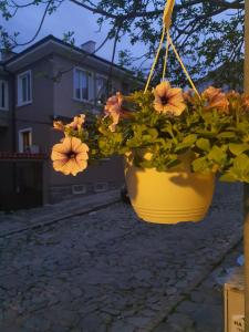 a pot of flowers hanging from a plant at HANCHO - OLD TOWN CENTER PLOVDIV in Plovdiv