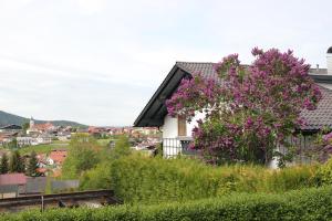 ein Haus mit lila Blumen auf der Seite in der Unterkunft Villa Relax - Ferienwohnungen & Hallenbad & Relaxgarten in Bodenmais