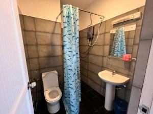 La petite salle de bains est pourvue de toilettes et d'un lavabo. dans l'établissement Cozy Apartment in the heart of Colombo, à Yakbedda