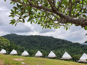 una fila de tiendas blancas con una montaña en el fondo en Merry Camp Khaokho, en Khao Kho