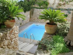 uma piscina com dois vasos de plantas ao lado em Holiday home 400 meters from the sea near Gallipoli em Nardò