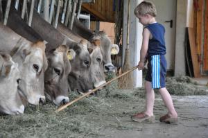 Zvieratá na farme alebo blízkom okolí