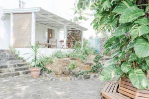 Zahrada ubytování Coastal Home in Tamarin, AC, Wi-Fi, Walk to Everything in Tamarin
