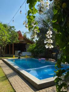 a swimming pool with blue water and white flowers at Didu's Homestay Bed & Breakfast in Banyuwangi