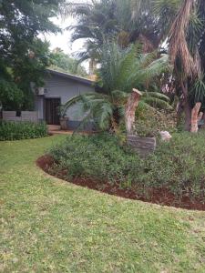 podwórko z palmą i domem w obiekcie Africa Dawn Guesthouse w mieście Musina