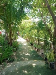 Fotografie z fotogalerie ubytování Malapascua Beach and Dive Resort v destinaci Logon