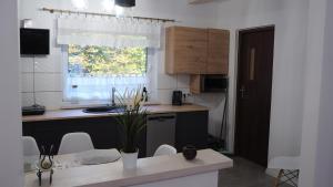Kuchnia lub aneks kuchenny w obiekcie Apartament Zacisze