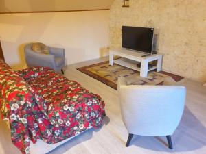 ein Wohnzimmer mit einem TV, einem Sofa und einem Stuhl in der Unterkunft Spatieux, confort, reposant, gd jardin bucolique, jeux, balades, zoo, châteaux in Saint-Romain-sur-Cher