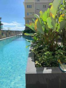 a swimming pool with green plants next to a building at 2 BR condo at One Regis - Megaworld in Bacolod