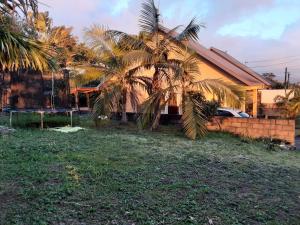 a house with a palm tree in the yard at Ti kaz Annah in Le Tampon +11 photos