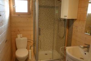 a bathroom with a toilet and a shower and a sink at Cottage for 4 people Ustronie Morskie in Ustronie Morskie