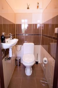 a bathroom with a toilet and a sink at Apartmán RADKA in Zvolen