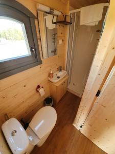 ein kleines Bad mit WC und Waschbecken in der Unterkunft Ferienpark Auf dem Simpel - Schäferwagen 2 in Soltau