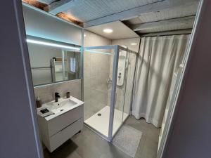 y baño con ducha, lavabo y espejo. en Bergerie du Causse en Livernon