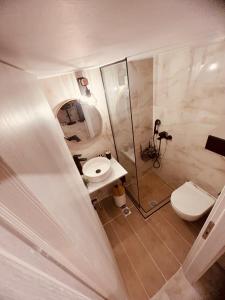 y baño con aseo, lavabo y ducha. en Cactus Luxury suite2, en Atenas