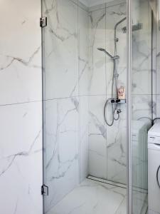 a shower with a glass door in a bathroom at Stara Pošta Apartment 1 in Grosuplje