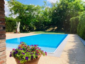 a swimming pool with flowers in a yard at Corte Bussari in Arquà Polesine