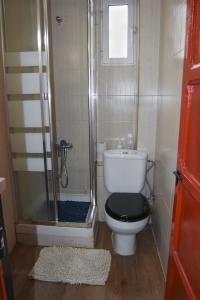 マドリードにあるApartment Puente de Vallecaの小さなバスルーム(トイレ、シャワー付)