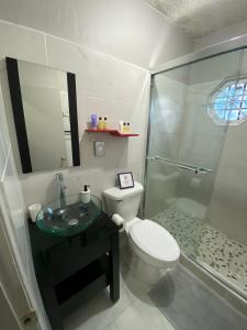 W łazience znajduje się toaleta i przeszklony prysznic. w obiekcie Cozy 2 bedroom Townhouse in gated community, KGN8 Newly installed solar hot water system w mieście Kingston