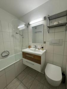 La salle de bains est pourvue d'un lavabo, de toilettes et d'une douche. dans l'établissement Beautiful Cozy Studio Davos, à Davos