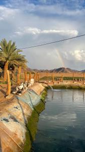 um arco-íris sobre um rio com cadeiras e palmeiras em أستراحة مون لايت الريفي em Al-ʿUla