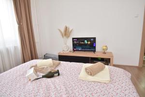a room with a bed with a tv and a bedspread at Apartman 1 in Kragujevac