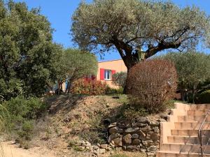 una casa en una colina con un árbol y escaleras en Les Oliviers, en Grimaud