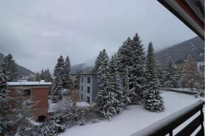une cour enneigée avec des arbres et un bâtiment dans l'établissement Beautiful Cozy Studio Davos, à Davos