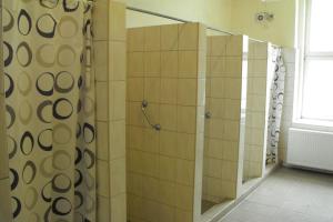 a bathroom with a shower and a shower curtain at Mogyorodi Hostel in Budapest