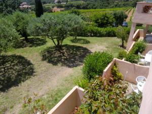 un jardín con un árbol y algunos arbustos en Les Oliviers, en Grimaud