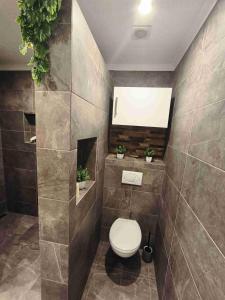 a bathroom with a toilet and plants in it at Baky House in Balatonlelle