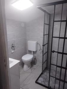 Căbănuța Oana tesisinde bir banyo