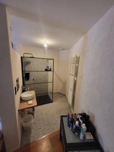 uma casa de banho com um lavatório e um WC num quarto em Cosy em Antuérpia